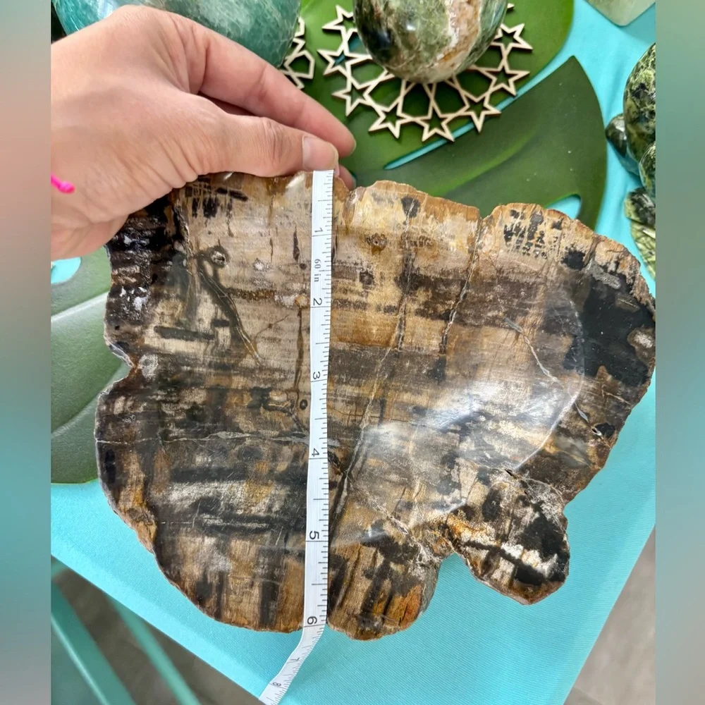 Petrified Wood bowl from Indonesia - Picture 8 of 9